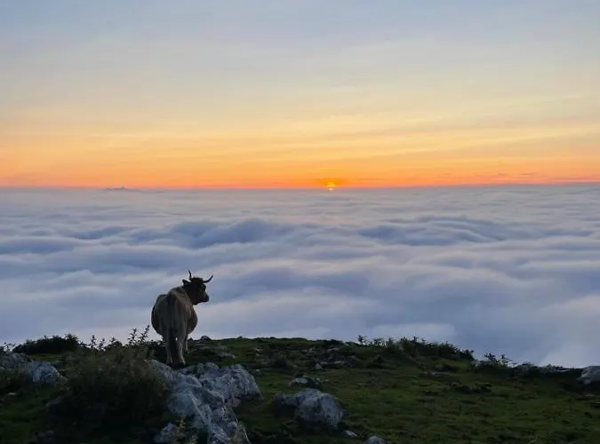 아파트 Turistico Mirador De Valdellera I